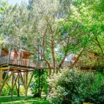 Cabane dans les arbres - CABANE PALOMBIERE - LE NIZAN - Gironde
