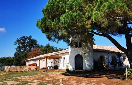 G&icirc;te n&deg;G2253 Sauternes - Gironde - Le Cast&egrave;l de Lamothe est dans la b&acirc;tisse ancienne du Ch&acirc;teau Lamothe, situ&eacute; en haut de la coline.
