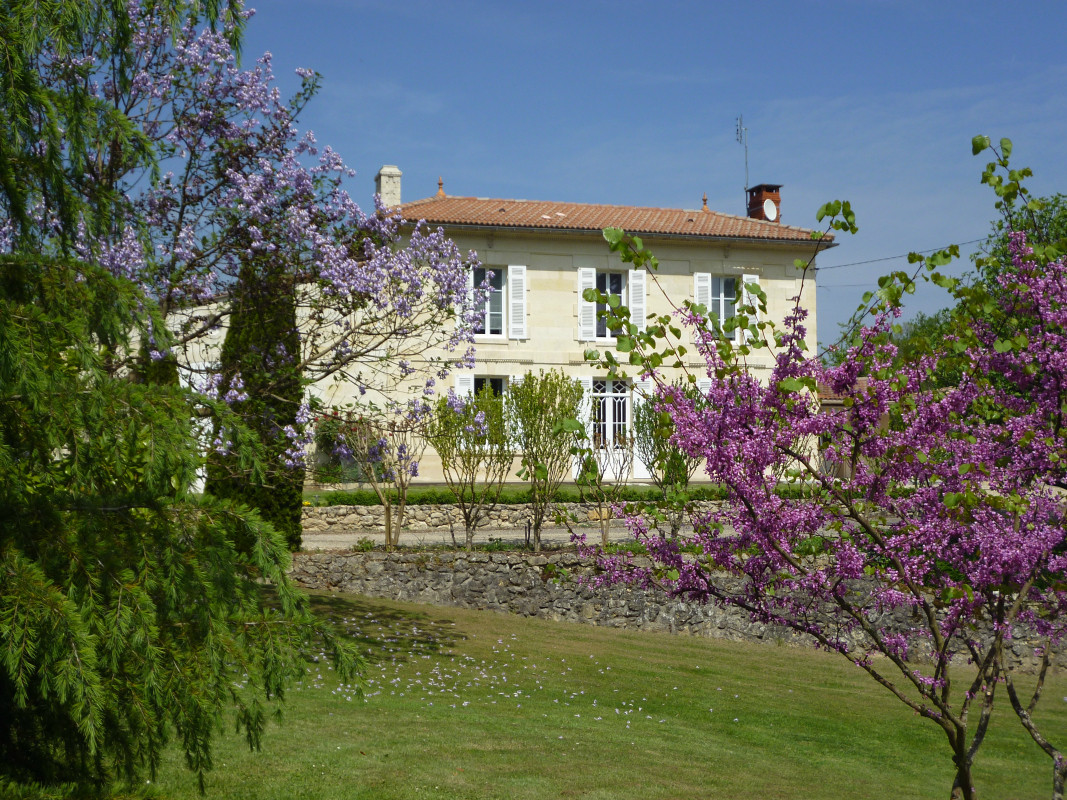 photo 0