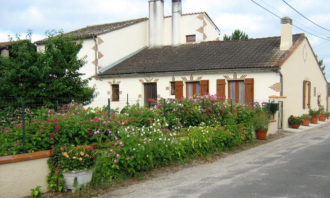 photo 0