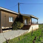 gite - Le Chalet Vigneron - SAINT CHRISTOPHE DES BARDES - Gironde