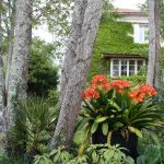gite - Gite du Castenet - SAMONAC - Gironde