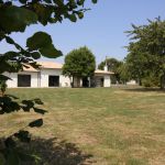 gite - G&icirc;te Basmatho - YVRAC - Gironde