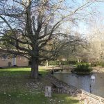 gite - G&icirc;te de l'&eacute;tang - LE VERDON SUR MER - Gironde