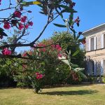 gite - G&icirc;te du Domaine de la Gravette - CUBNEZAIS - Gironde