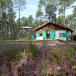 gite - G&icirc;te Vert - LUXEY - Landes