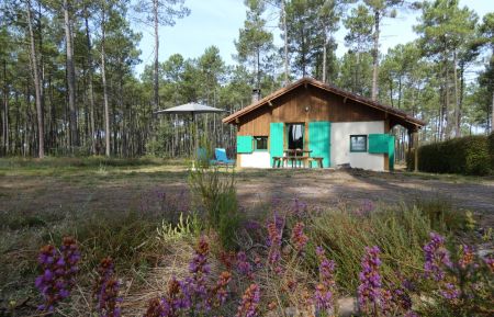 G&icirc;te n&deg;10212 Luxey - Landes - photo