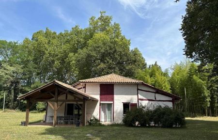 G&icirc;te n&deg;20257 Sabres - Landes - photo