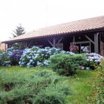 gite - La grange du Cl&eacute;don - ST-GEOURS-DE-MAREMNE - Landes