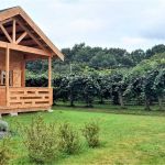gite - Chalet Peydecoum - SAINT GEOURS DE MAREMNE - Landes