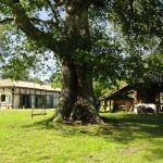 gite - Le g&icirc;te de Marquin - LUGLON - Landes
