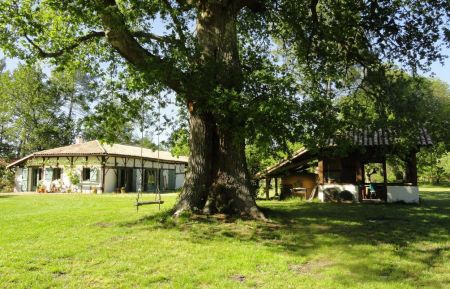 G&icirc;te n&deg;10922 Luglon - Landes - photo