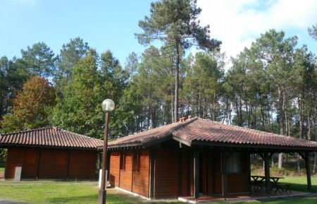 Gîte n°20226 Pissos - Landes - photo