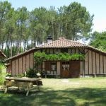 gite - G&icirc;te du pin franc - MOLIETS ET MAA - Landes