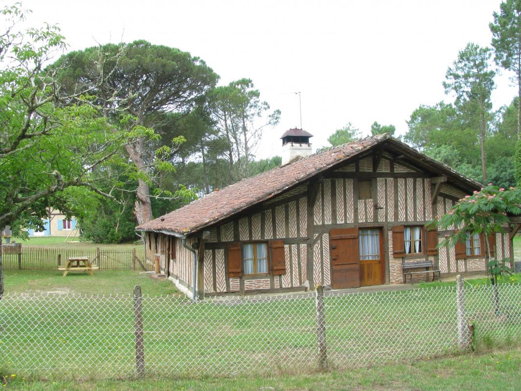 photo 0