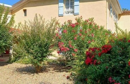 gîte Bonnebat Gîte n°20409 Lacrabe - Landes - gîte Bonnebat
