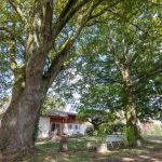 gite - L'atelier - TALLER - Landes