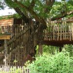 Cabane dans les arbres - Cabane  Papyjotte - MONTFORT EN CHALOSSE - Landes