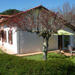gite - Lanes - MONTGAILLARD - Landes