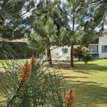 gite - Brimborion - MIMIZAN - Landes