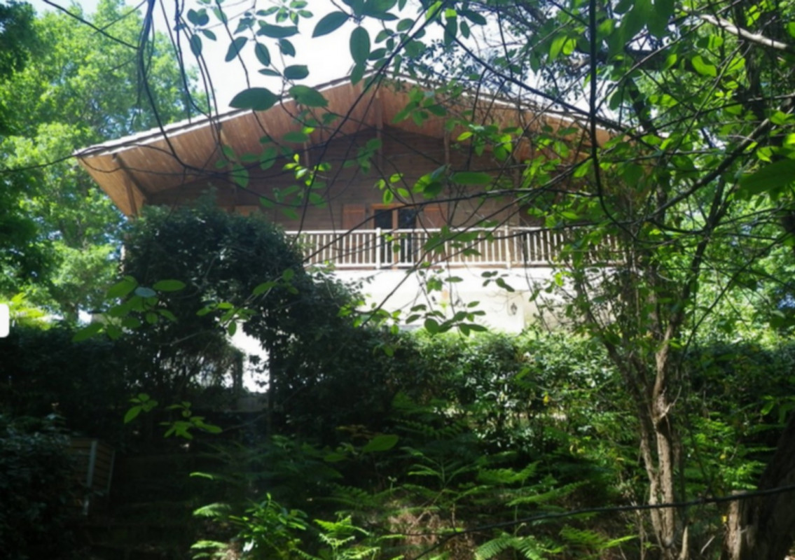 photo 0