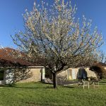 gite - La grange du Poutic - CREON D'ARMAGNAC - Landes