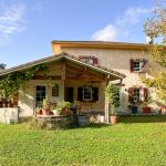gite - Le gîte de la Grange - POMAREZ - Landes