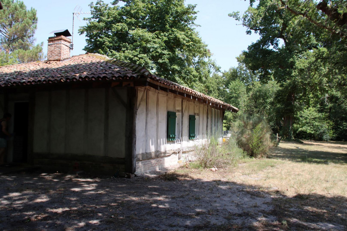 photo 35