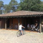 gite - Bidaou - PISSOS - Landes