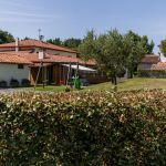 gite - G&icirc;te Salis - TOULOUZETTE - Landes