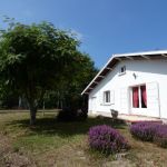 gite - Ma Biche - TOSSE - Landes