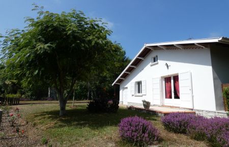 G&icirc;te n&deg;20828 Tosse - Landes - photo