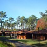 gite - Caplane - PISSOS - Landes