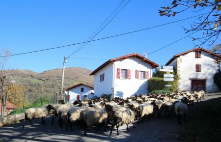 G&icirc;te n&deg;G231020 Mendive - Pyr&eacute;n&eacute;es-Atlantiques - Le g&icirc;te AHOTZTEGIA &agrave; MENDIVE