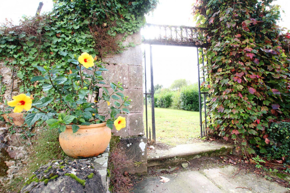photo 35